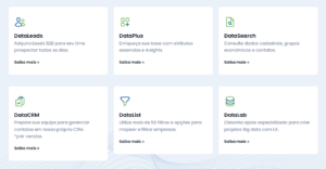 Printscreen da pagina web da DataSeek